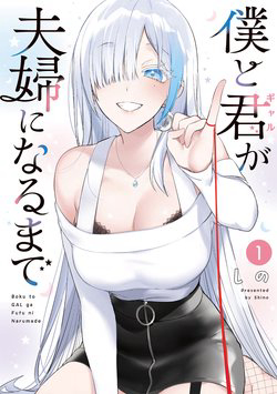 Bìa truyện Boku to GAL ga Fufu ni Narumade