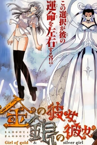Bìa truyện Kin no Kanojo Gin no Kanojo