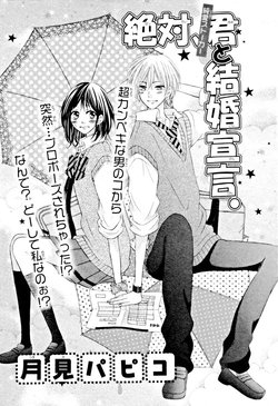 Bìa truyện Zettai, Kimi to Kekkon Senken