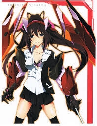 Bìa truyện Infinite Stratos New Version