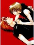 Bìa truyện Wild Kiss